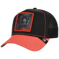 Dark Shines Glow Cats Cap By Goorin Bros.